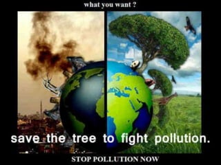 Polution Best Sentation Pollution | PPTX