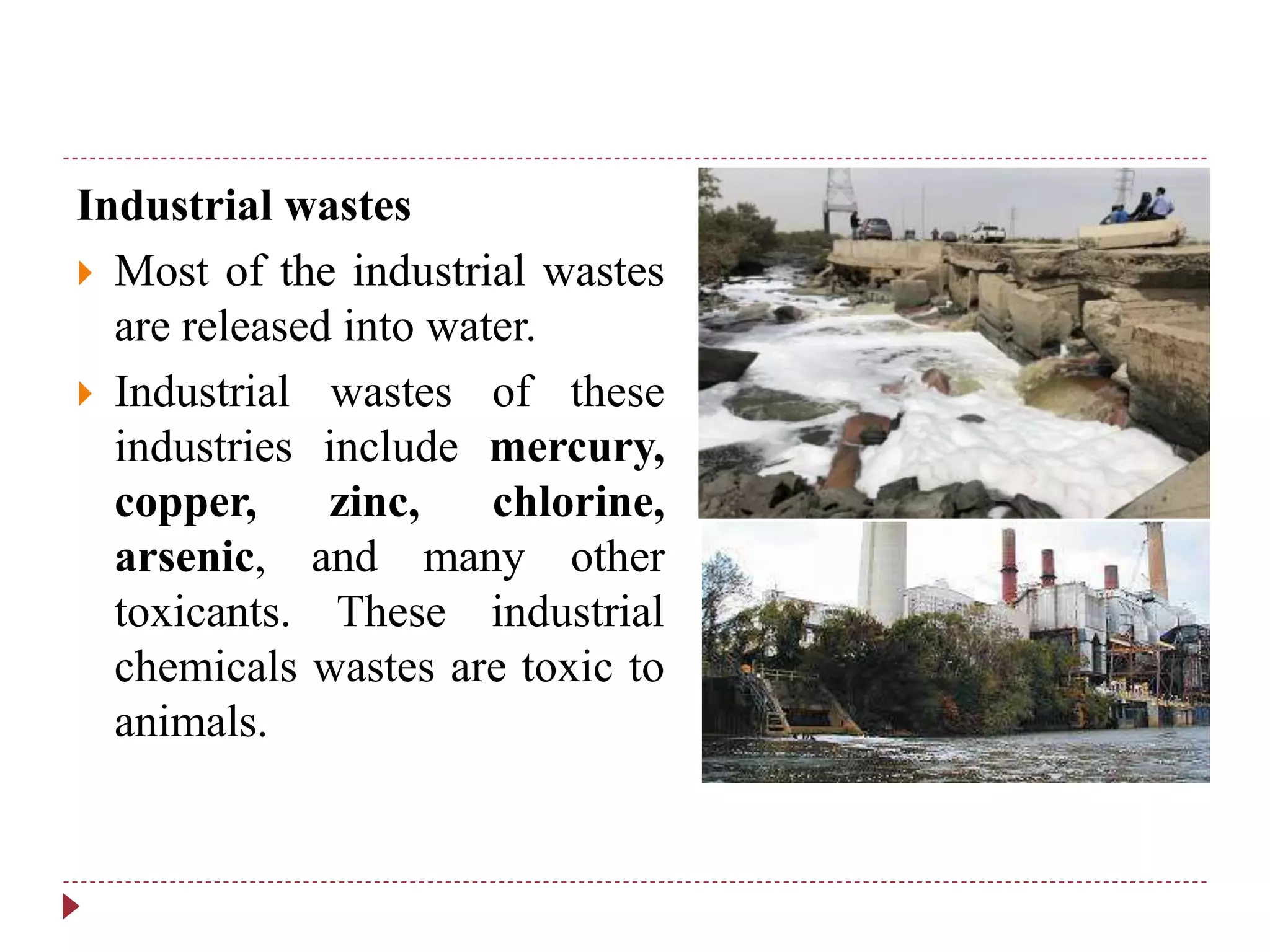 Industrial wastes
 Most of the industrial wastes
are released into water.
 Industrial wastes of these
industries include mercury,
copper, zinc, chlorine,
arsenic, and many other
toxicants. These industrial
chemicals wastes are toxic to
animals.
 