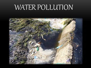 WATERPOLLUTION
 