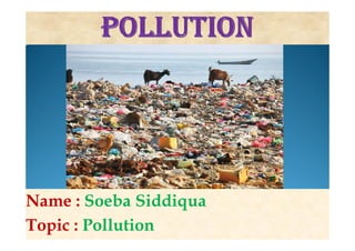 Name : Soeba Siddiqua
Topic : Pollution
 
