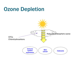 Ozone Depletion



                                       Reduced stratospheric ozone
 CFCs
 Chlorohydrocarbons




                       Immune
                        system      Skin
                                   cancer         Cataracts
                      supression
 