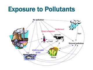 Exposure to Pollutants
               Air pollution



                                             Settlement
                         Direct inhalation
                                                                   Rain
                                         animals


                                 Food
                                                          Ground pollution


              drinking water
                  & fish
    Water pollution
                                     Plants
 
