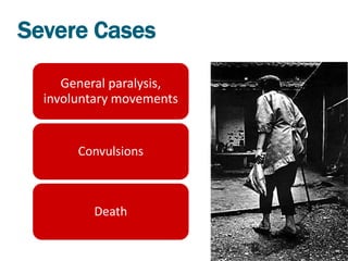 Severe Cases

     General paralysis,
  involuntary movements


       Convulsions



         Death
 
