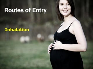 Routes of Entry

Inhalation
 