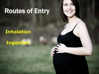 Routes of Entry

Inhalation

Ingestion
 