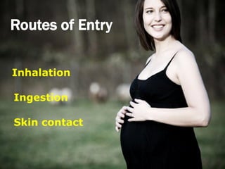 Routes of Entry

Inhalation

Ingestion

Skin contact
 
