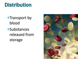 Distribution

 Transport by
  blood
 Substances
  released from
  storage
 