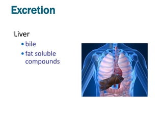 Excretion

Liver
   bile
   fat soluble
   compounds
 