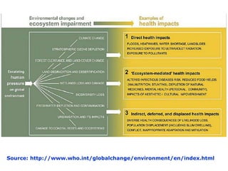 Source: http://www.who.int/globalchange/environment/en/index.html
 