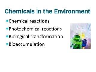 Chemicals in the Environment
Chemical reactions
Photochemical reactions
Biological transformation
Bioaccumulation
 