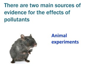 There are two main sources of
evidence for the effects of
pollutants

                 Animal
                 experiments
 