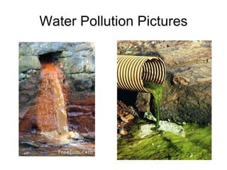 Water Pollution Pictures 