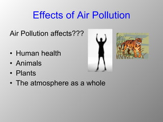 Effects of Air Pollution Air Pollution affects??? Human health Animals  Plants The atmosphere as a whole 