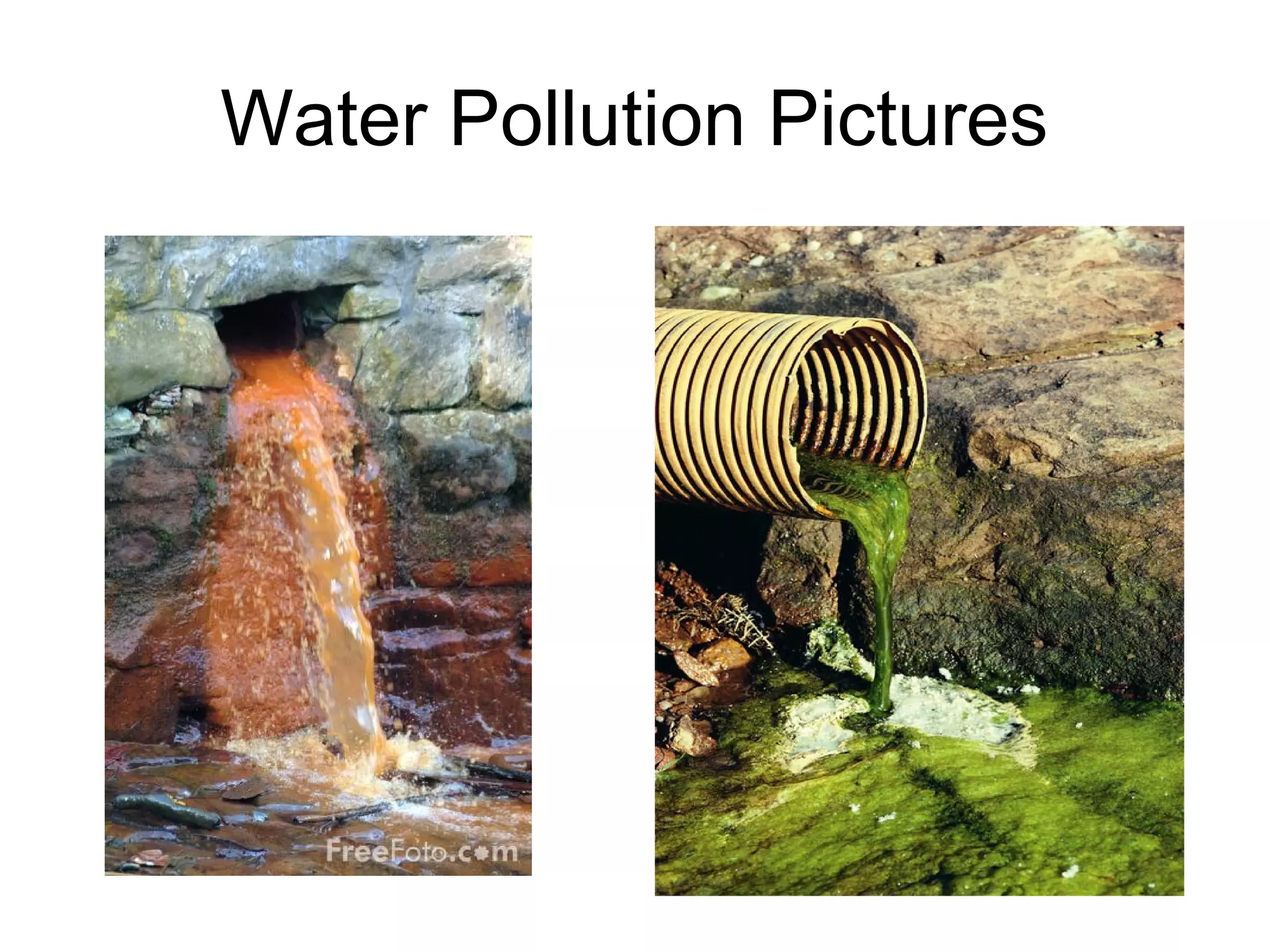 Water Pollution Pictures
 