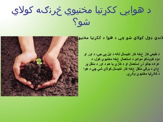 ‫کول ي‬ ‫څرنګه‬ ‫مخنیو ي‬ ‫ککړتیا‬ ‫هوايي‬ ‫د‬
‫شو؟‬
:‫وکړو‬ ‫مخنیو ي‬ ‫ککړتیا‬ ‫د‬ ‫هوا‬ ‫د‬ ‫چي‬ ‫شو‬ ‫کول ي‬ ‫ډول‬ ‫لند ي‬
‫او‬ ‫اور‬ ‫د‬ ،‫جي‬ ‫پي‬ ‫ایل‬ ‫د‬ ‫لکه‬ ‫اخیستل‬ ‫کار‬ ‫خه‬ ‫کاز‬ ‫طبعي‬ ‫د‬‫څ‬
‫د‬ ،‫کول‬ ‫مخنیوي‬ ‫خه‬ ‫استعمال‬ ‫د‬ ‫موادو‬ ‫کوونکو‬ ‫دود‬‫څ‬
‫پر‬ ‫منقل‬ ‫د‬ ‫اور‬ ‫د‬ ‫هم‬ ‫یا‬ ‫کازي‬ ‫د‬ ‫او‬ ‫استعمال‬ ‫ل‬ ‫جاتو‬ ‫عراده‬‫ږ‬
‫هوا‬ ‫د‬ ‫چي‬ ‫شي‬ ‫کولي‬ ‫اخیستل‬ ‫کار‬ ‫خه‬ ‫منقل‬ ‫برقي‬ ‫د‬ ‫اي‬‫څ‬ ‫ځ‬
.‫ي‬ ‫وک‬ ‫مخنیوي‬ ‫تیا‬ ‫کک‬ ‫د‬‫ړ‬ ‫ړ‬
 