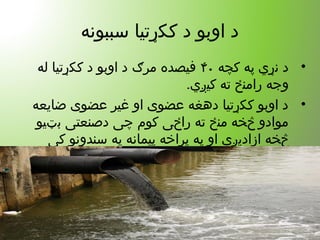 ‫سببونه‬ ‫ککړتیا‬ ‫د‬ ‫اوبو‬ ‫د‬
•‫کچه‬ ‫په‬ ‫نړ ي‬ ‫د‬۴۰‫له‬ ‫ککړتيا‬ ‫د‬ ‫اوبو‬ ‫د‬ ‫مرګ‬ ‫فیصده‬
.‫کیږ ي‬ ‫ته‬ ‫رامنځ‬ ‫وجه‬
•‫ضایعه‬ ‫عضوی‬ ‫غیر‬ ‫او‬ ‫عضوی‬ ‫دهغه‬ ‫ککړتیا‬ ‫اوبو‬ ‫د‬
‫بټیو‬ ‫دصنعتی‬ ‫چی‬ ‫کوم‬ ‫راځی‬ ‫ته‬ ‫منځ‬ ‫څخه‬ ‫موادو‬
‫کی‬ ‫سندونو‬ ‫په‬ ‫پیمانه‬ ‫پراخه‬ ‫په‬ ‫او‬ ‫ازادیږی‬ ‫څخه‬
.‫کیږی‬ ‫تخلیه‬
 