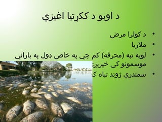 ‫اغیز ي‬ ‫ککړتیا‬ ‫د‬ ‫اوبو‬ ‫د‬
•‫مرض‬ ‫کولرا‬ ‫د‬
•‫ملریا‬
•‫باراني‬ ‫په‬ ‫ډول‬ ‫خاص‬ ‫په‬ ‫چي‬ ‫کم‬ (‫)محرقه‬ ‫تبه‬ ‫لویه‬
‫خپریږ ي‬ ‫کي‬ ‫موسمونو‬
•‫کو ي‬ ‫تباه‬ ‫ژوند‬ ‫سمندر ي‬
 