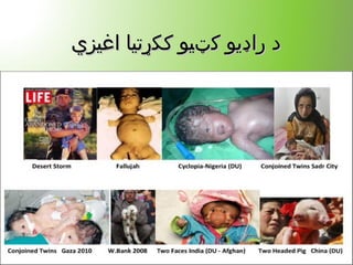 ‫اغیزي‬ ‫ککړتیا‬ ‫کټیو‬ ‫راډیو‬ ‫د‬‫اغیزي‬ ‫ککړتیا‬ ‫کټیو‬ ‫راډیو‬ ‫د‬
 