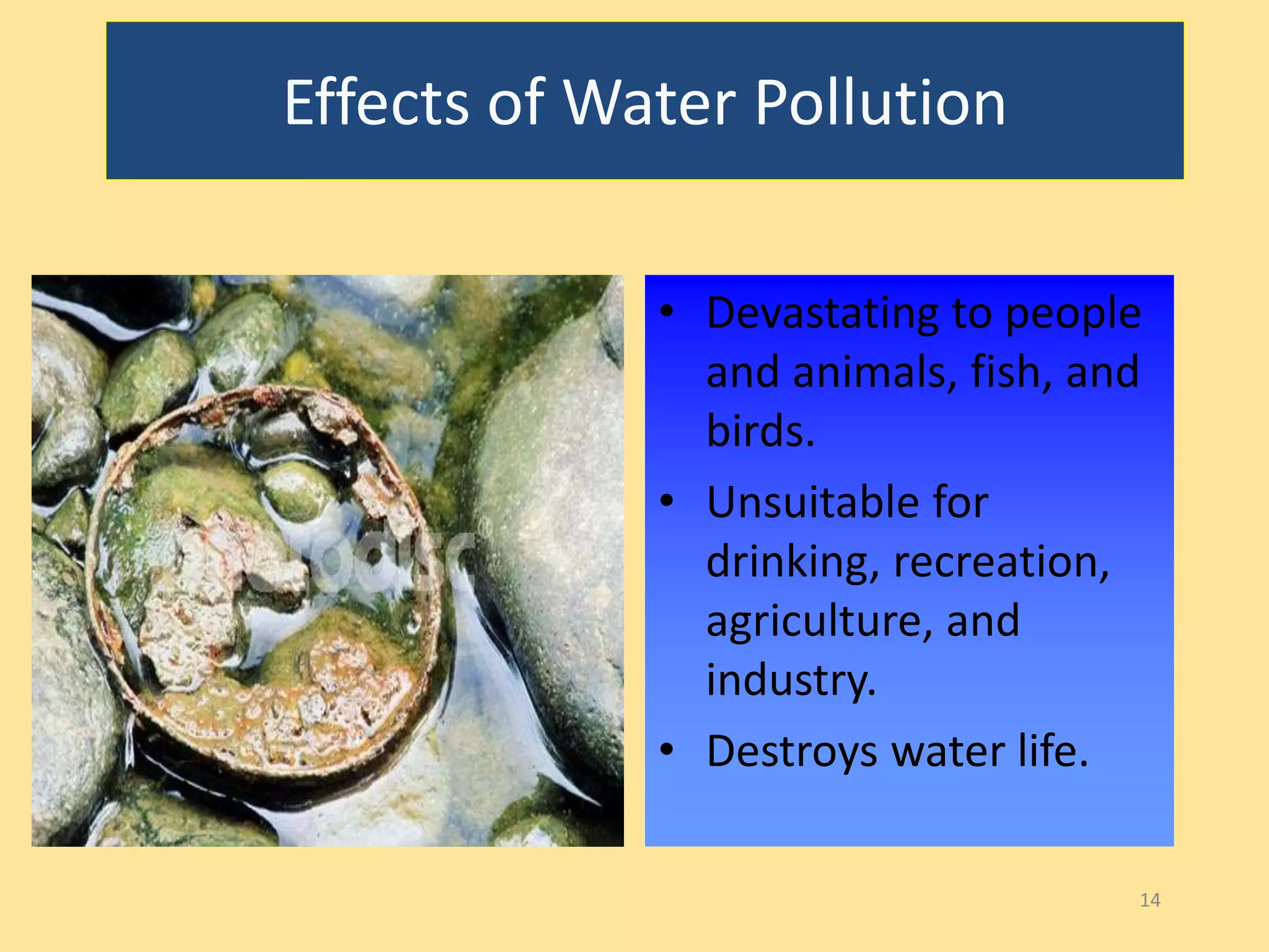 Effects of Water Pollution 
• Devastating to people 
and animals, fish, and 
birds. 
• Unsuitable for 
drinking, recreation, 
agriculture, and 
industry. 
• Destroys water life. 
14 
 