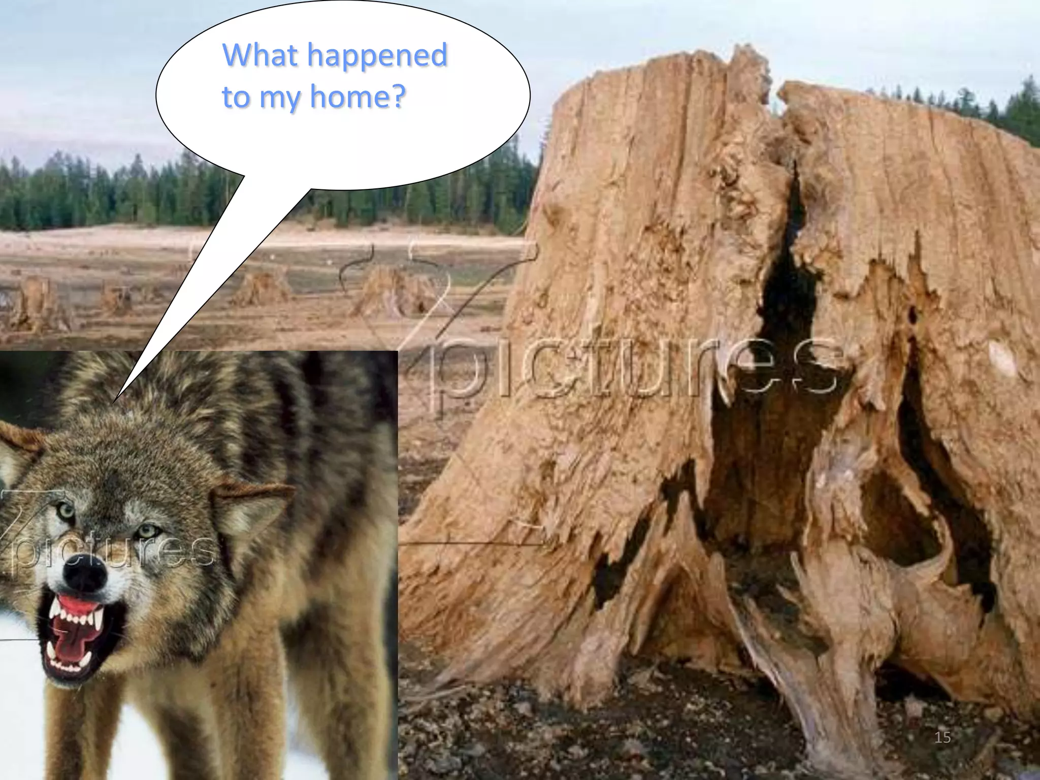 15 
What happened 
to my home? 
 