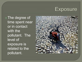 Introduction to Pollution | PPTX