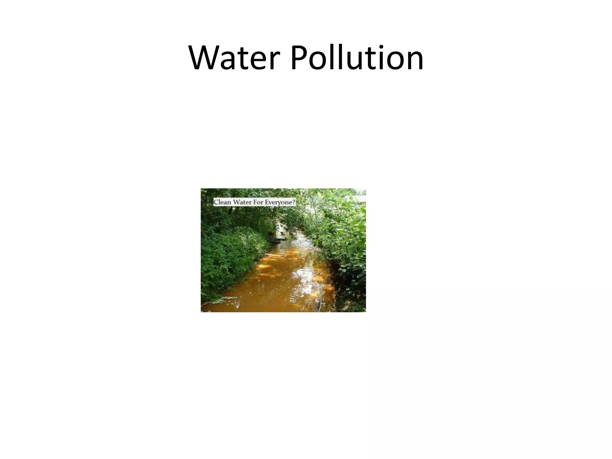 Water Pollution
 
