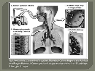 http://www.mde.state.md.us/programs/ResearchCenter/ReportsandPublicat
ions/Pages/ResearchCenter/publications/general/emde/vol1no12/particlepo
llution_photo.aspx
 