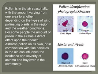 Pollen is in the air seasonally,
with the amount varying from
one area to another,
depending on the types of wind
pollinating plants in the region
and the weather conditions.
For some people the amount of
pollen in the air has a direct
effect upon their health.
Airborne pollen on its own, or in
combination with fine particles
in the air, can influence the
incidence and severity of
asthma and hayfever in the
community.
 