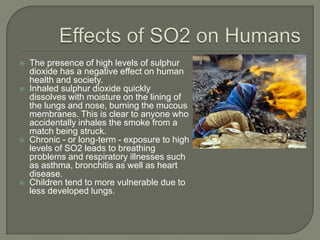    The presence of high levels of sulphur
    dioxide has a negative effect on human
    health and society.
   Inhaled sulphur dioxide quickly
    dissolves with moisture on the lining of
    the lungs and nose, burning the mucous
    membranes. This is clear to anyone who
    accidentally inhales the smoke from a
    match being struck.
   Chronic - or long-term - exposure to high
    levels of SO2 leads to breathing
    problems and respiratory illnesses such
    as asthma, bronchitis as well as heart
    disease.
   Children tend to more vulnerable due to
    less developed lungs.
 
