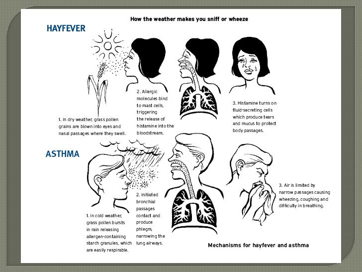 Air Pollution and Sulphur Dioxide