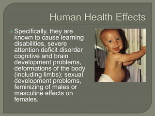 Human Health EffectsSpecifically, they are known to cause learning disabilities, severe attention deficit disorder cognitive and brain development problems, deformations of the body (including limbs); sexual development problems, feminizing of males or masculine effects on females.