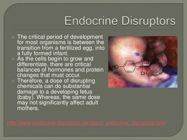 Endocrine Disruptors and DDT