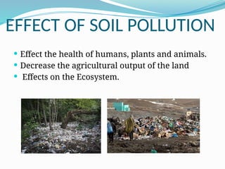 EFFECT OF SOIL POLLUTION
 Effect the health of humans, plants and animals.
 Decrease the agricultural output of the land
 Effects on the Ecosystem.
 