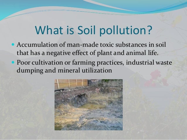erosion prevention essays Questions on gully erosion categories we will write a custom essay sample on questions on gully erosion if erosion control and revegetation work is . erosion prevention essays Questions on gully erosion categories we will write a custom essay sample on questions on gully erosion if erosion control and revegetation work is .
