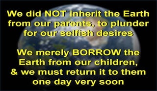 Pollution causes, effects and solutions