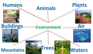 Environment
Trees Waters
PlantsHumans
Buildings Air
Mountains
Animals
 