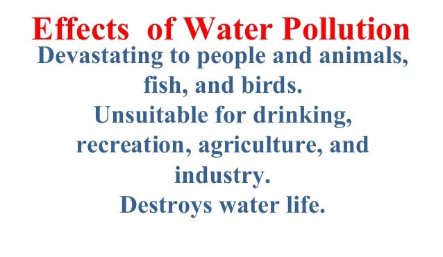 The pollution causes and effects and solutions