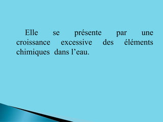 � Elle se présente par une
croissance excessive des éléments
chimiques dans l’eau.
 