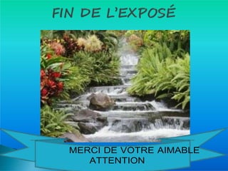 � MERCI DE VOTRE AIMABLE
ATTENTION
 