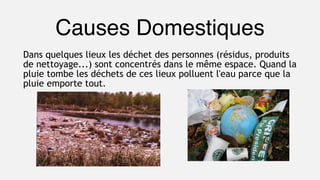 Causes Domestiques
Dans quelques lieux les déchet des personnes (résidus, produits
de nettoyage...) sont concentrés dans le même espace. Quand la
pluie tombe les déchets de ces lieux polluent l'eau parce que la
pluie emporte tout.
 