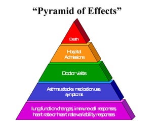 Pollution Effects On Health | PPT