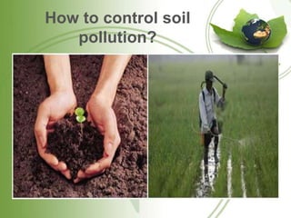How to control soil
   pollution?
 
