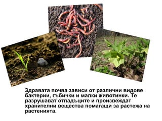 Здравата почва зависи от различни видове
бактерии, гъбички и малки животинки. Те
разрушават отпадъците и произвеждат
хранителни вещества помагащи за растежа на
растенията.
 