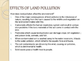 Pollution notes.pdf