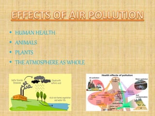 • HUMAN HEALTH
• ANIMALS
• PLANTS
• THE ATMOSPHERE AS WHOLE
 