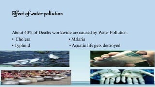 Effect of water pollution
About 40% of Deaths worldwide are caused by Water Pollution.
• Cholera • Malaria
• Typhoid • Aquatic life gets destroyed
 