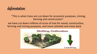 deforestation
“This is when trees are cut down for economic purposes, mining,
farming and construction”.
we have cut down millions of acres of tree for wood, construction,
farming and mining purposes, and never planted new trees back.
 