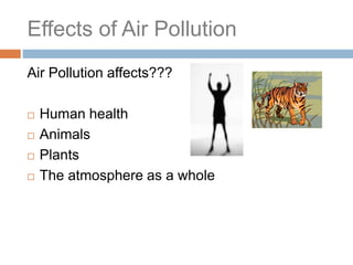 Effects of Air Pollution
Air Pollution affects???
 Human health
 Animals
 Plants
 The atmosphere as a whole
 