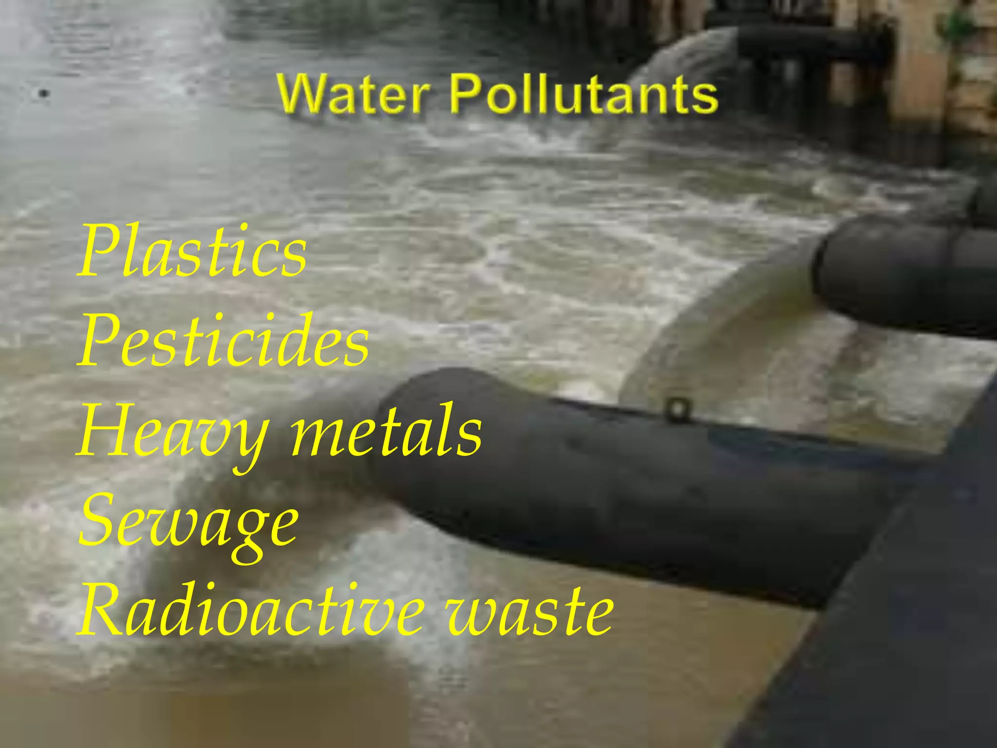 Plastics 
Pesticides 
Heavy metals 
Sewage 
Radioactive waste 
 