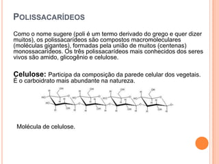 POLISSACARÍDEOS
Como o nome sugere (poli é um termo derivado do grego e quer dizer
muitos), os polissacarídeos são compostos macromoleculares
(moléculas gigantes), formadas pela união de muitos (centenas)
monossacarídeos. Os três polissacarídeos mais conhecidos dos seres
vivos são amido, glicogênio e celulose.
Celulose: Participa da composição da parede celular dos vegetais.
É o carboidrato mais abundante na natureza.
Molécula de celulose.
 